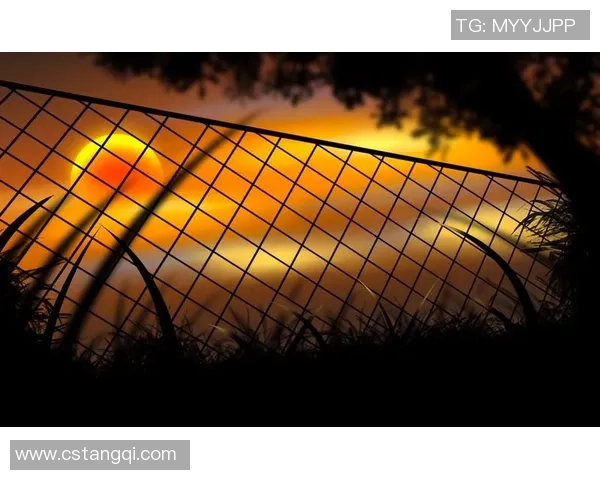 足球滤镜下的美丽与真实：探讨足球文化中的理想与现实交织