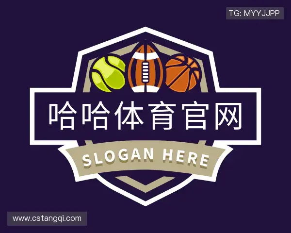 介绍哈哈体育